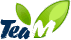 Logoteam 5